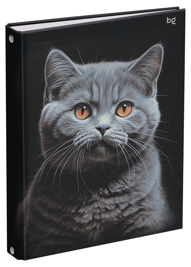 Тетрадь BG Кот А5 на кольцах в клетку 160 л 490₽