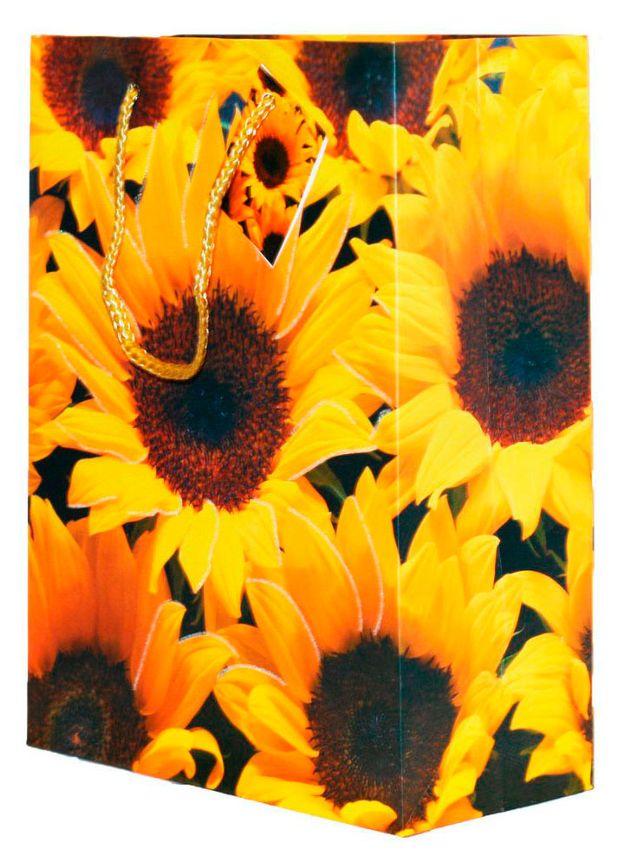 Пакет подарочный ArteNuevo 14,6х10,8 см, 1 шт в ассортименте