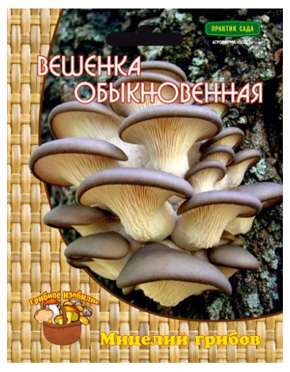 Мицелий грибов Поиск 1 шт 180₽