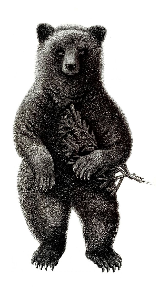 Постер Даринчи с белым паспарту 30х40 см, 1 шт в ассортмиенте