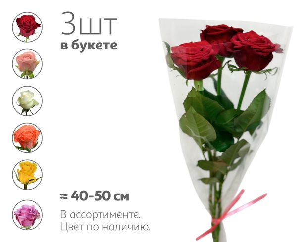 Букет живых срезанных цветов Монобукет Розы из 3 роз в прозрачной упаковке в ассортименте 40-50 см, 1 шт