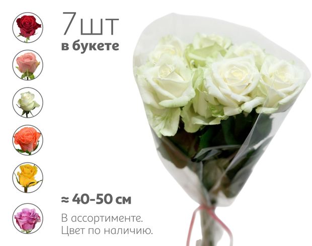 Букет живых срезанных цветов Монобукет Розы из 7 роз в упаковке в ассортименте 40-50 см, 1 шт