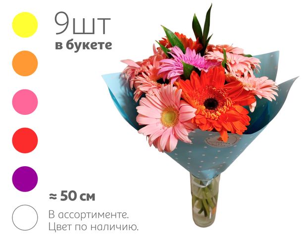 Букет живых срезанных цветов 29 из 9 гербер с зеленью в упаковке в ассортименте h 50 см, 1 шт