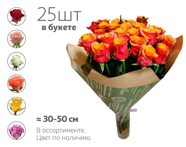 Букет живых срезанных цветов 16 Моно роза из 25 роз в упаковке в ассортименте, 1 шт