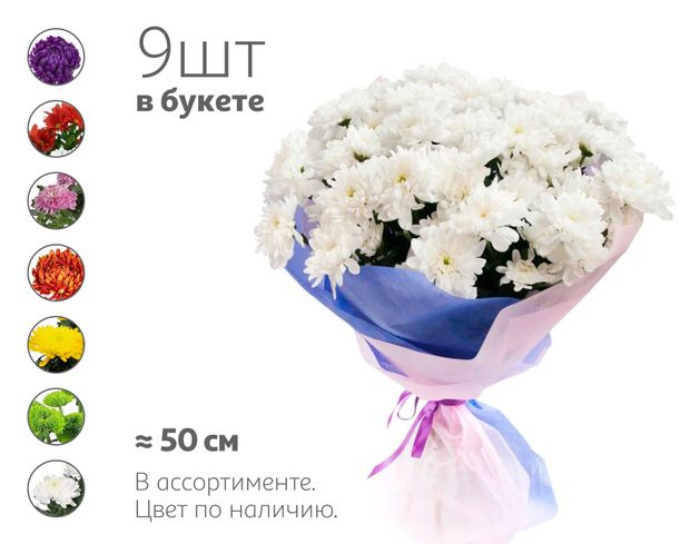 Букет живых срезанных цветов 41 Моно хризантема их 9 кустовых хризантем в упаковке в ассортименте h 50 см, 1 шт