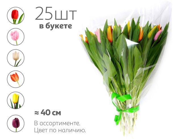 Букет живых срезанных цветов из 25 тюльпанов в упаковке в ассортименте h 40 см, 1 шт