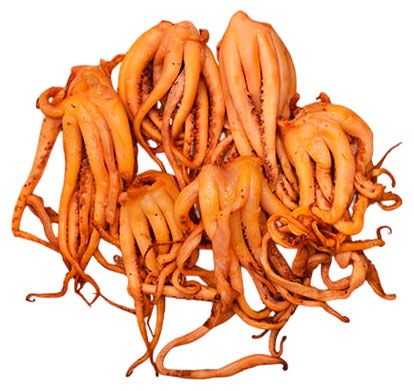 Щупальца кальмара холодного копчения Фландерр вес 1400₽