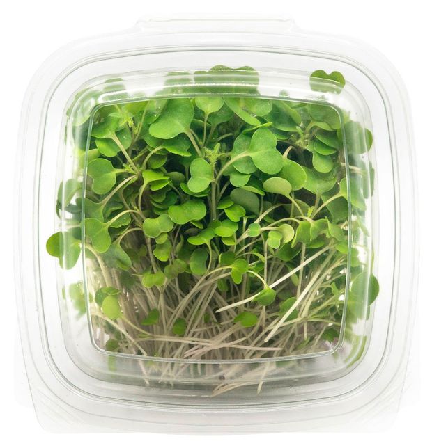 Микрозелень брокколи Ситигринго 40 г 160₽