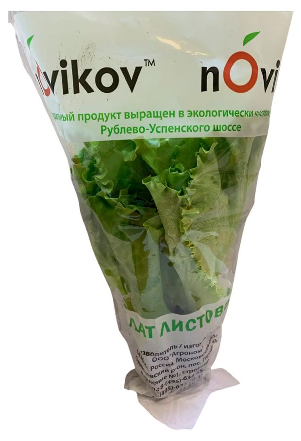 Салат листовой в горшочке 1 штука 70₽