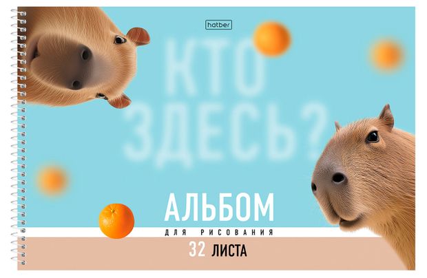 Альбом для рисования Hatber на спирали ламинация А4, 32 л 1 шт в ассортименте