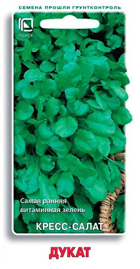 Семена Поиск Кресс-салат Дукат, 1 г