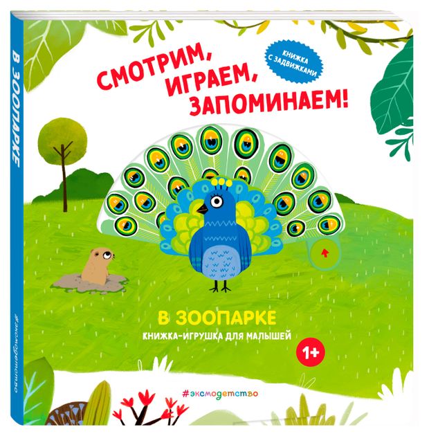 Смотрим, играем, запоминаем!