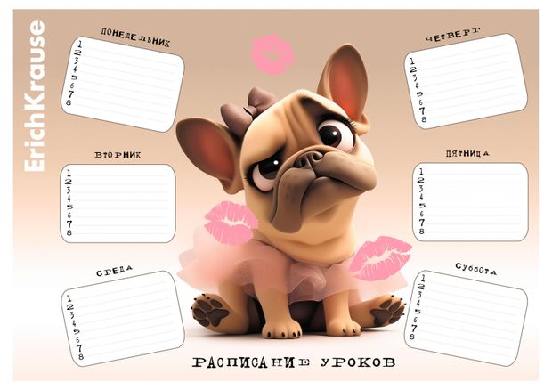 Расписание уроков ErichKrause Franchie А4, 1 шт