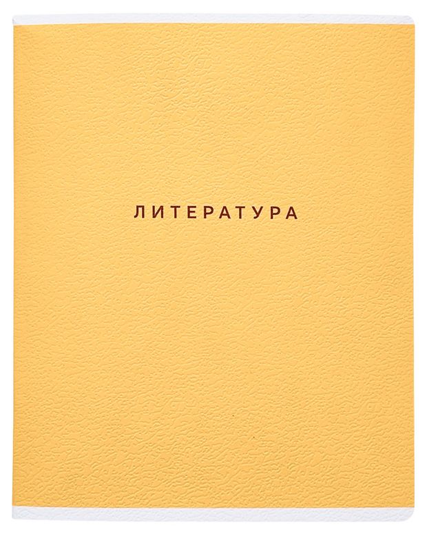 Тетрадь предметная Be Smart Литература 165х203 мм А5 в линейку, 48 л