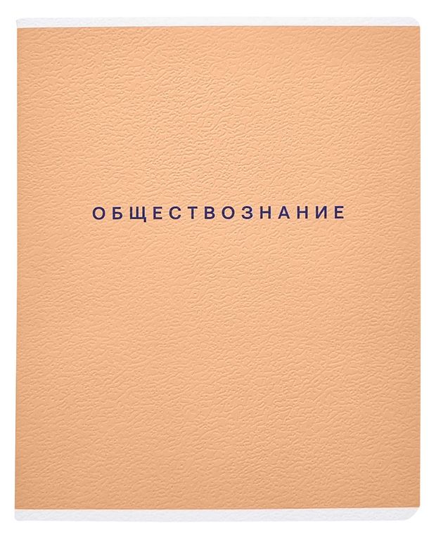 Тетрадь предметная Be Smart Обществознание 165х203 мм А5 в клетку, 48 л