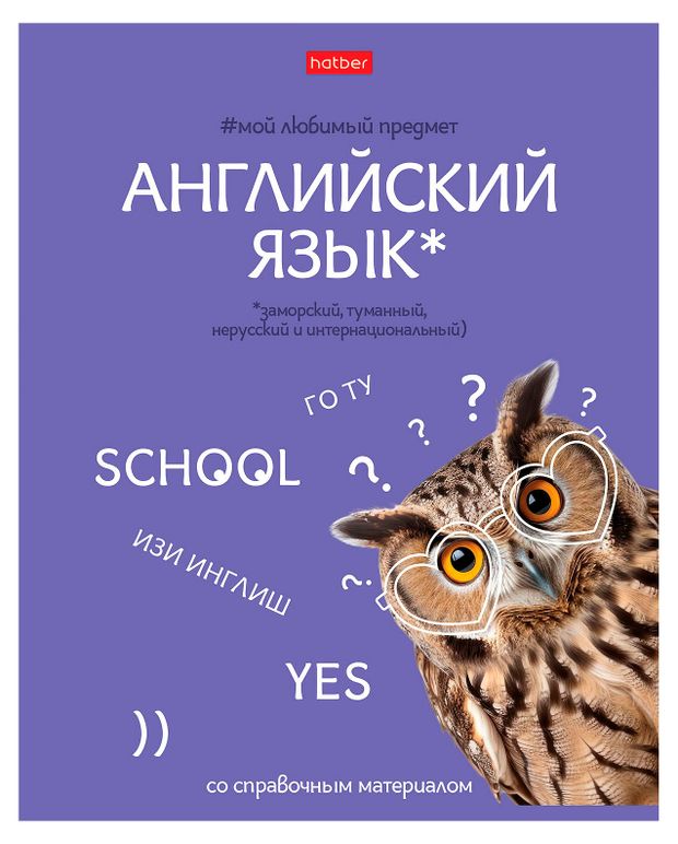 Тетрадь предметная Hatber Английский язык А5 в клетку, 48 л
