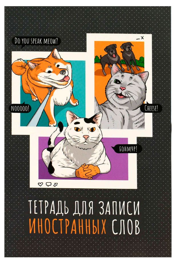 Феникс+ Тетрадь для записи иностранных слов Феникс+ А6 в линейку 32 л, 1 шт в ассортименте