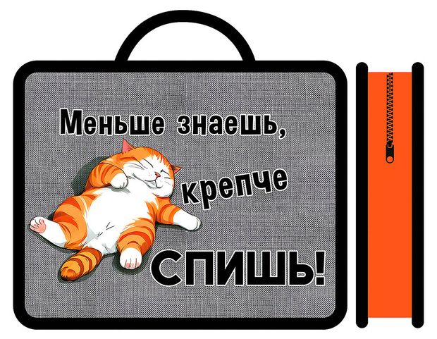 Папка детская Пчелка А4 пластиковая с ручками 330х260х75 мм, 1 шт в ассортименте