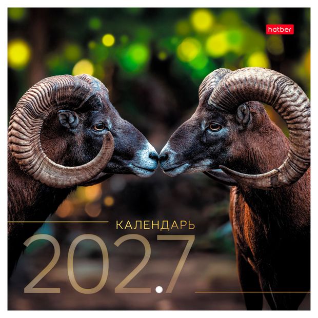 Календарь настенный перекидной Hatber Знак Года на скобе на 2027 год, 216х216 мм
