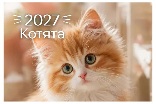 Календарь настольный домик Грейт Принт Котята на 2027 год, 16,5х15,5 см