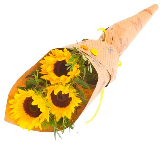 Букет живых срезанных цветов Моно гелиантус из 3 гелиантусов с зеленью в упаковке в ассортименте h 40 см, 1 шт