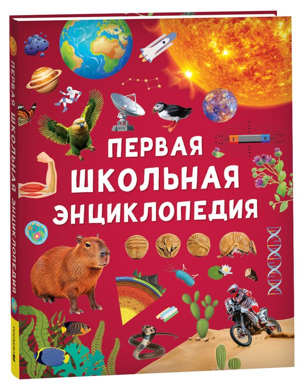 Первая школьная энциклопедия, Ангелина Евгеньевна Скалкина