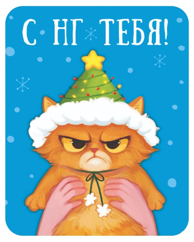 Шоколад молочный Chokocat Открытка мини Кот в...
