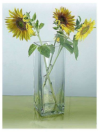 Ваза квадратная ЭВИС Тауэр стеклянная прозрачная 10x30 см 1100₽