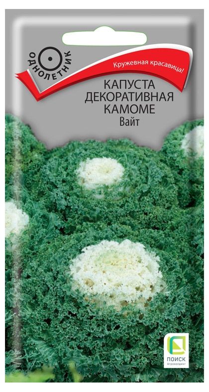 Семена Капуста Поиск Декоративная камоме вайт, 10 шт