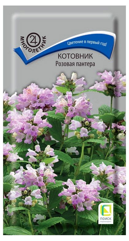 Семена Котовник Поиск Розовая пантера, 10 шт