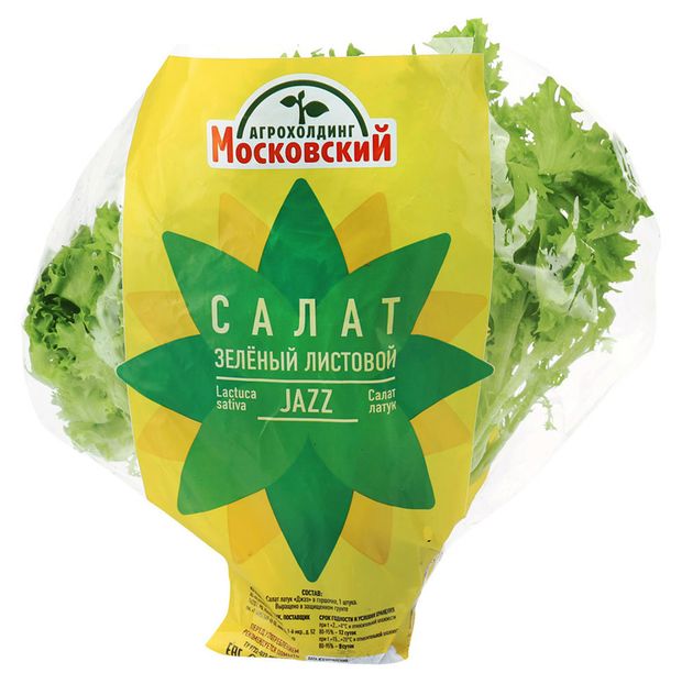 Салат Кудрявый Джаз в горшочке, 1 штука