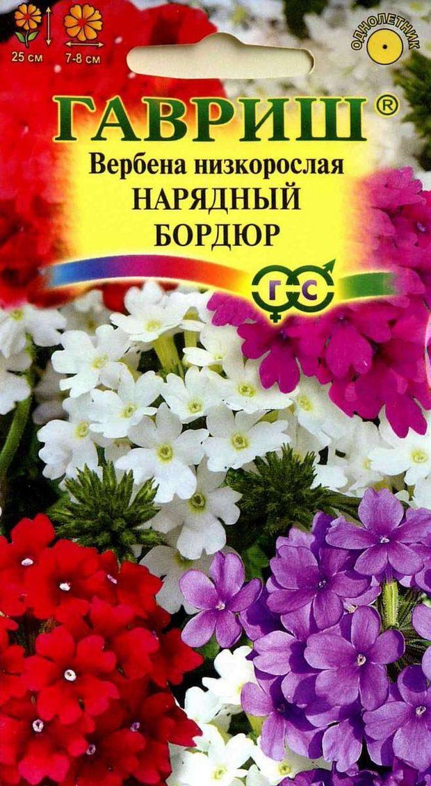 Семена Вербена Гавриш Нарядный бордюр, 0,1 г