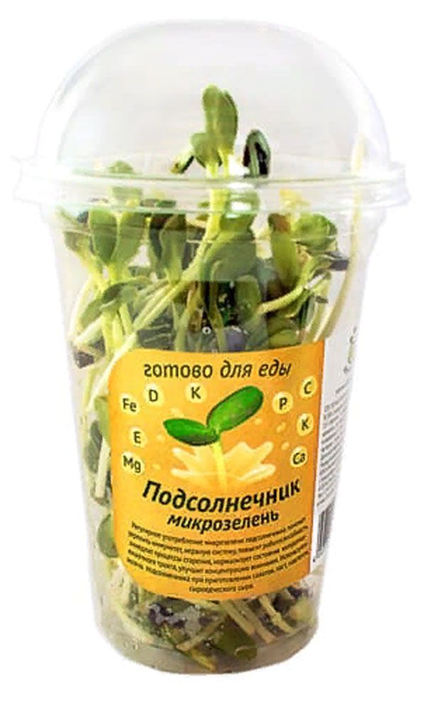 Проростки зелени пшеницы, 60 г