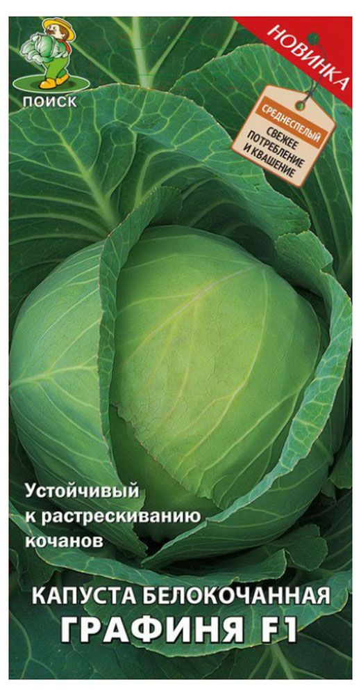 Семена Капуста Поиск Графиня белокочанная, 0,2 г