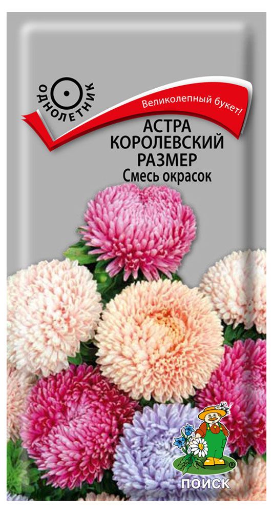 Семена Астра Поиск Королевский размер смесь 01 г 25₽