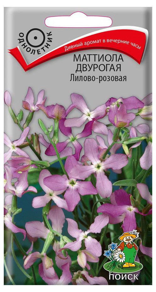 Семена Маттиола двурогая Поиск Лилово-розовая, 0,3 г