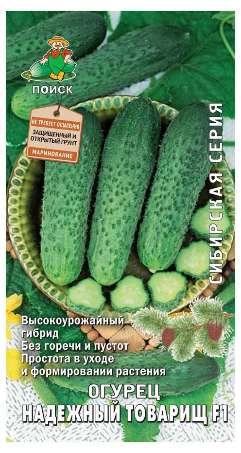 Семена Огурец Поиск Надежный товарищ, 12 шт