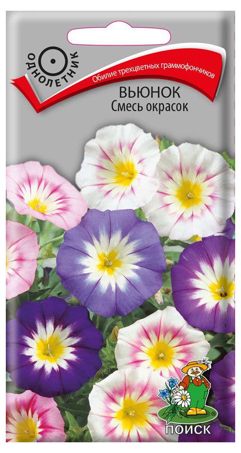 Семена Вьюнок Поиск Смесь окрасок, 1 г