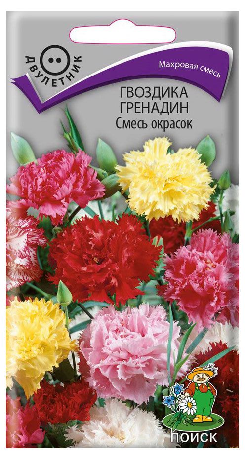 Семена Гвоздика Поиск Гренадин смесь, 0,25 г