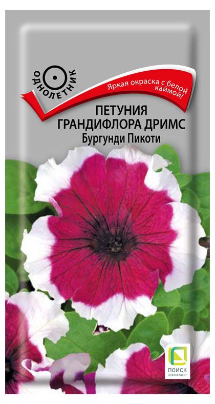 Семена Петуния грандифлора дримс Поиск Бургунди Пикоти, 15 шт