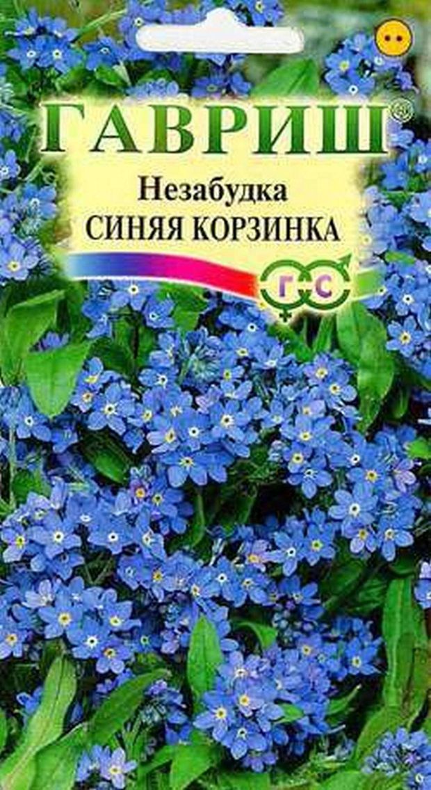Семена Незабудка Гавриш Синяя корзинка, 0.1 г