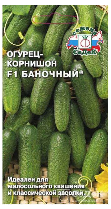 Семена Огурец СеДеК Баночный F1, 1 г