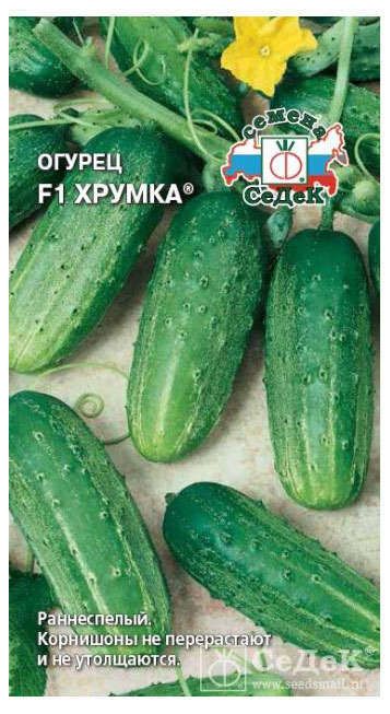 Семена Огурец СеДеК Хрумка F1, 0.3 г
