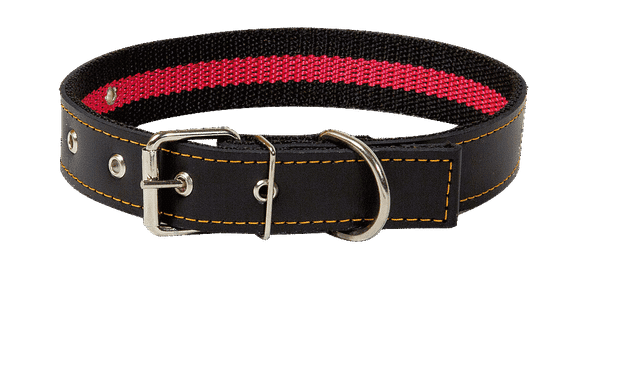 Ошейник для собак Зооник 46-66 см х 35 мм