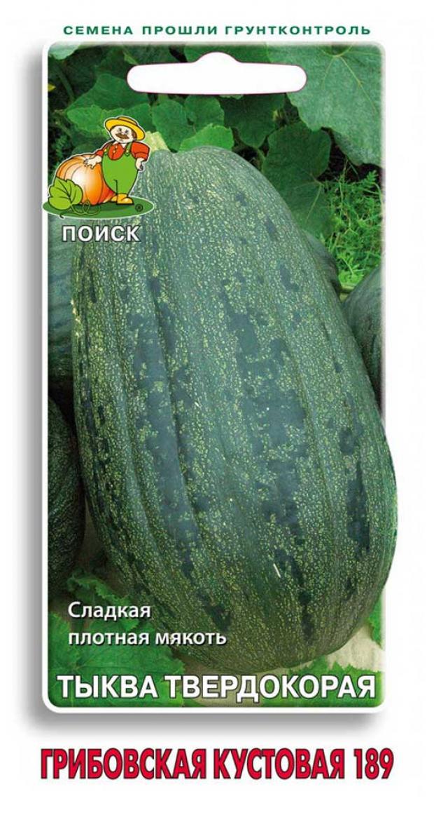 Семена Тыква Поиск Кустовая грибовская 10 шт 21₽