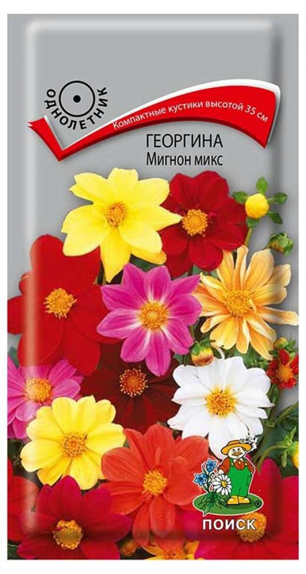 

Семена Георгина «Поиск» Мигнон микс, 0,2 г