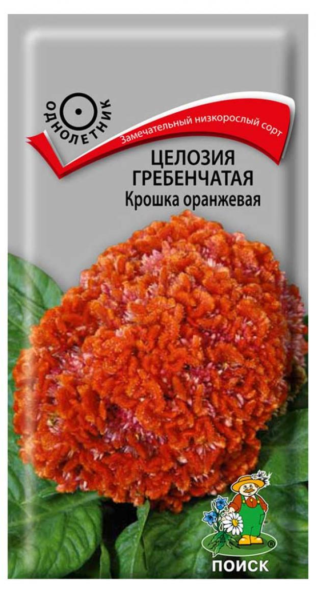 

Семена Целозия «Поиск» Крошка оранжевая, 0,1 г