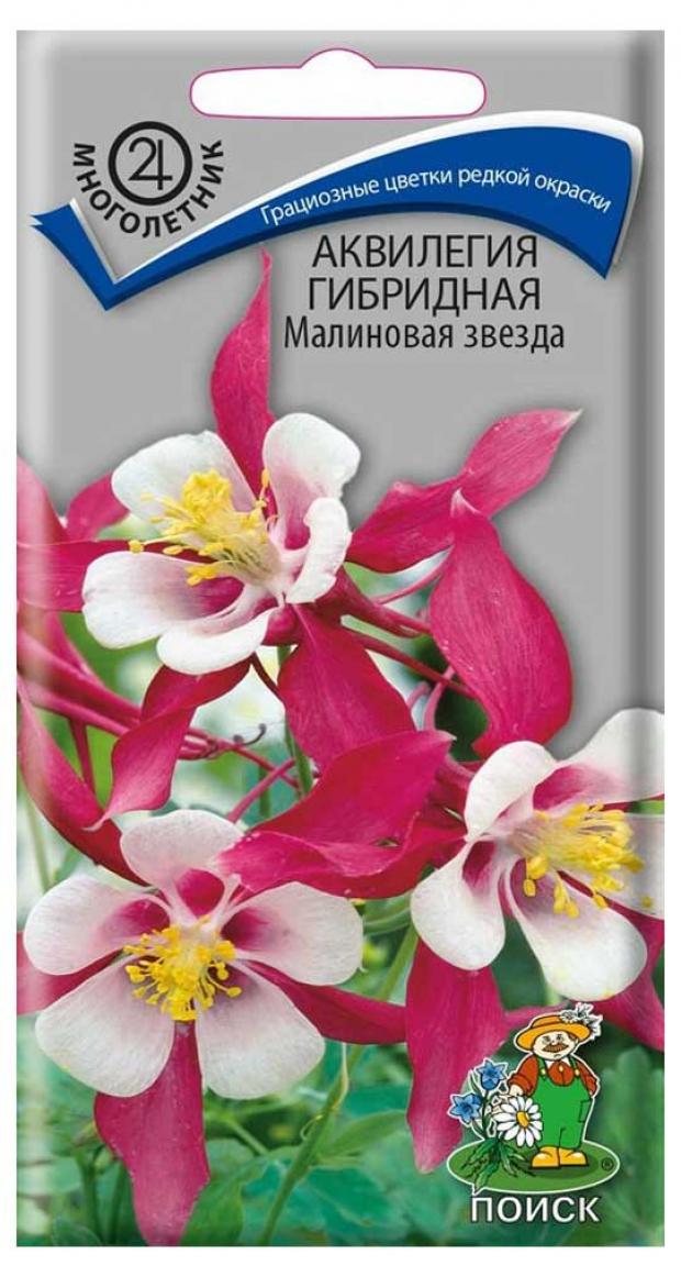 

Семена Аквилегия «Поиск» Малиновая звезда гибридная, 0,05 г