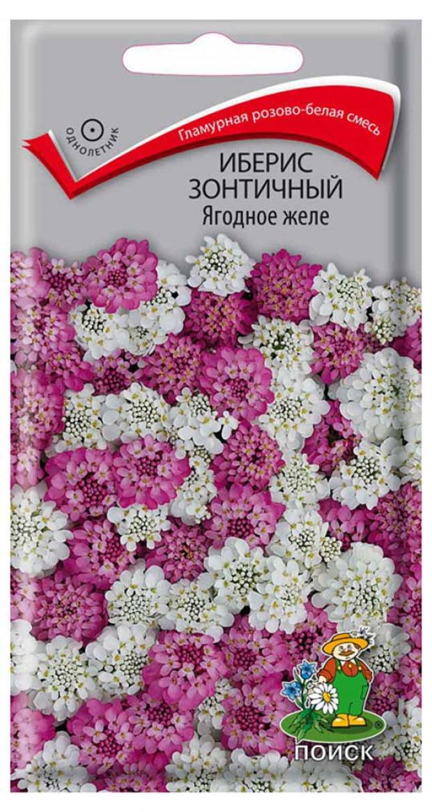 

Семена Иберис «Поиск» Ягодное желе зональный, 0,1 г