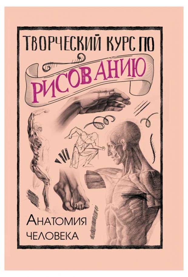 Творческий курс по рисованию. Анатомия человека, Грей М.